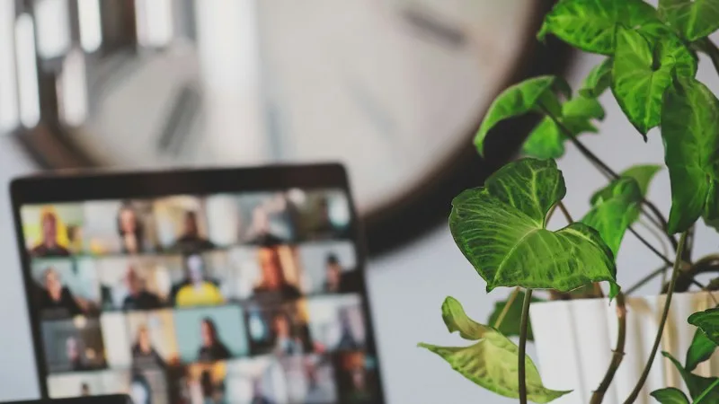 Laptop showing a team video meeting next to a houseplant