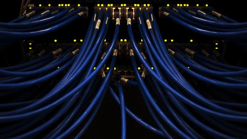 Network switch with blue ethernet cables