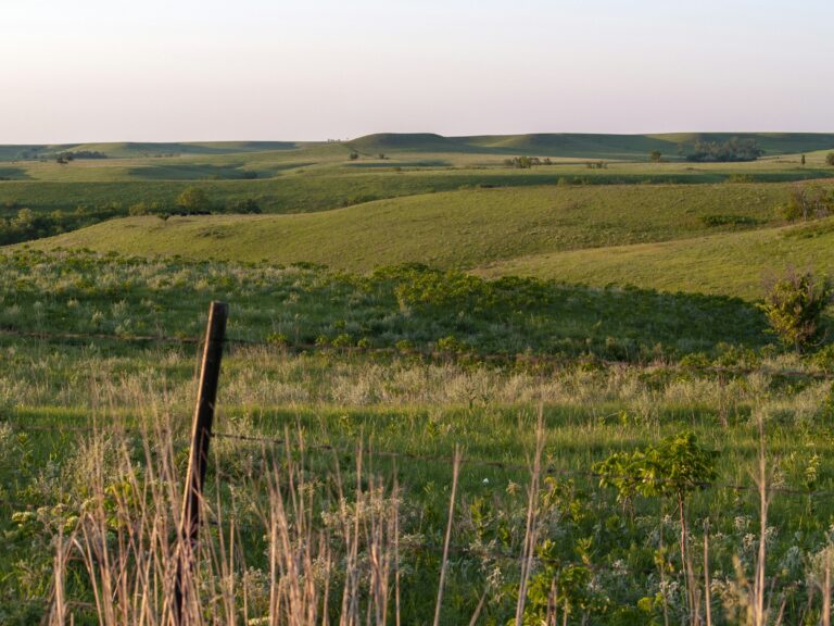Green Kansas prairie under a cloudy sky