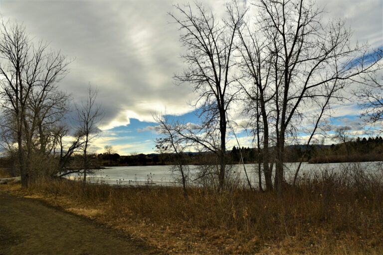Lake framed by bare cottonwood trees in Lakewood, Colorado