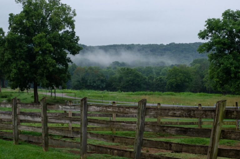 Morning fog over a fenced pasture near Murfreesboro, Tennessee