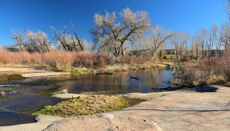 Clear creek and cottonwood trees in Parker, Colorado